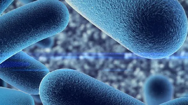 益生菌吃多久一个疗程插图2