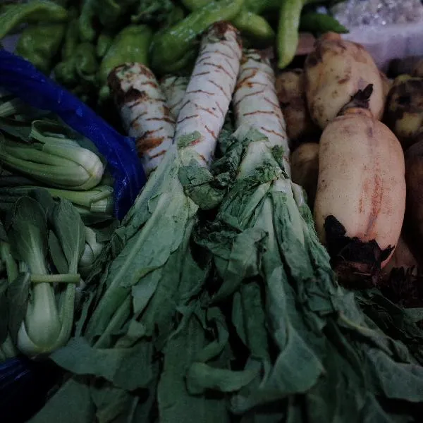 青菜的保存最佳方法和时间插图