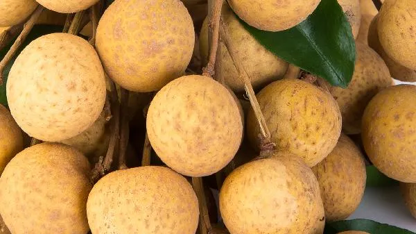 龙眼补血胜大枣 6款龙眼补血食谱插图