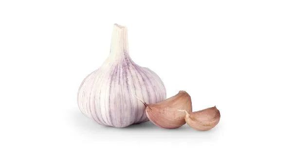 蒜苗是大蒜长出来的吗插图2