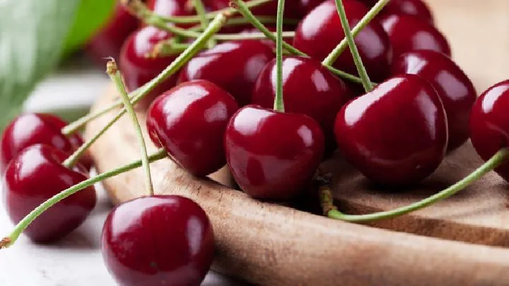 秋季多喝茶有好处？推荐这4种茶最适合养肺护肝又养生！插图