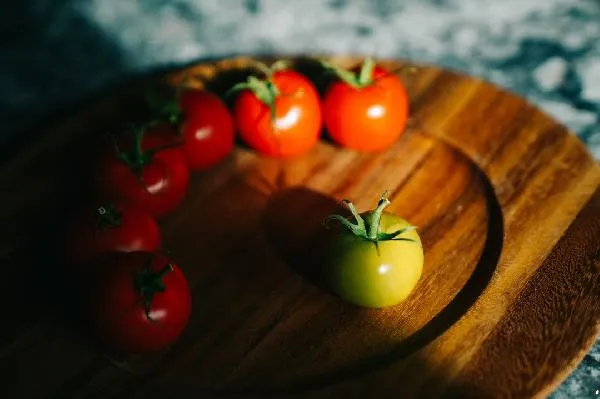 催熟西红柿的最佳方法插图