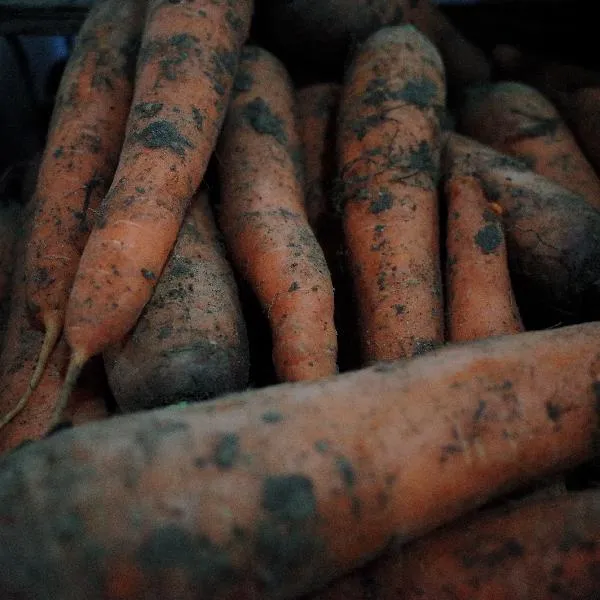 豆类蔬菜有哪些营养插图