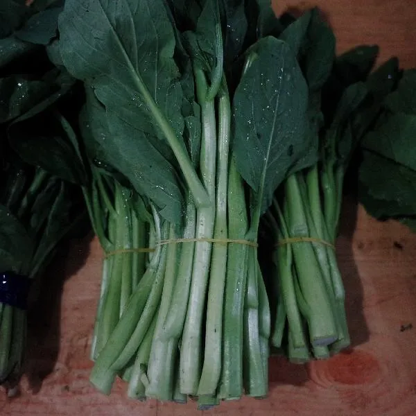 长的青菜叫什么名字插图1