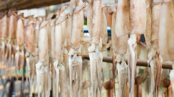 长期食用微波炉加热的食物健康吗插图2