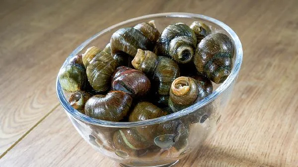 田螺放什么东西吐泥快插图1