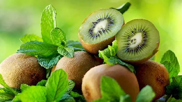 猕猴桃怎么选是最好的品种插图
