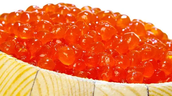 黄鳝与鳗鱼的区别插图