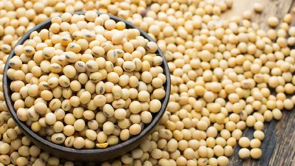 附睾边上摸到黄豆大的软球怎么回事怎么办插图