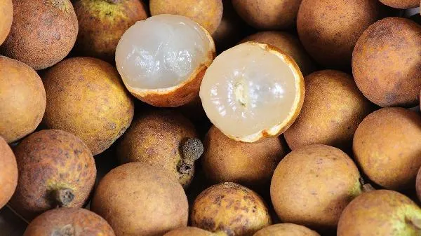 龙眼可以放冰箱保鲜吗 龙眼放冰箱保鲜可以保存几天插图1