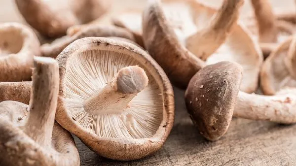 香菇发霉怎么洗干净插图1