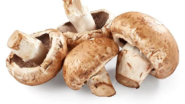 香菇的营养成分有哪些插图