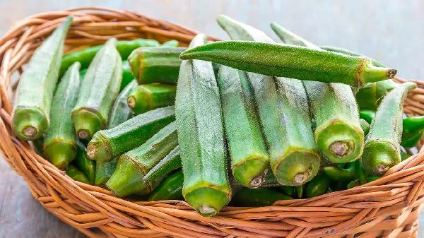 黄秋葵的营养价值插图1