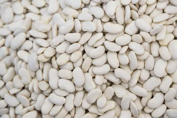 鹰嘴豆存在副作用 帮你了解鹰嘴豆插图