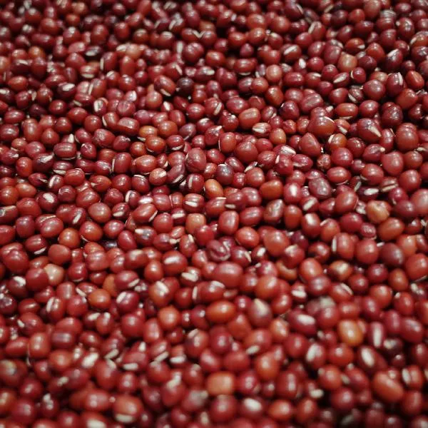 什么人不能吃豆制品插图2