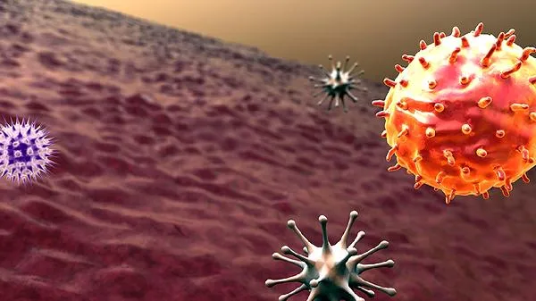 猴痘病毒的传播途径插图