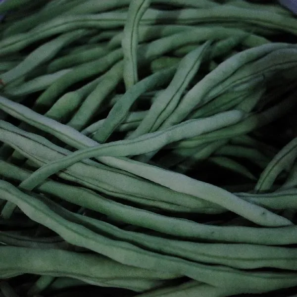 鲜豆角的储存方法插图2