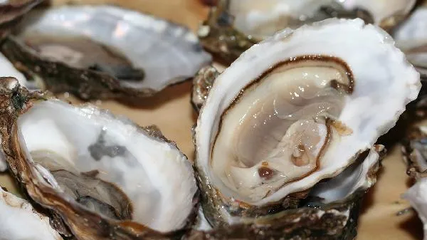 牡蛎胶囊吃多久停一停插图