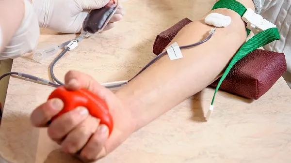 血脂高的人能吃瓜子吗插图1