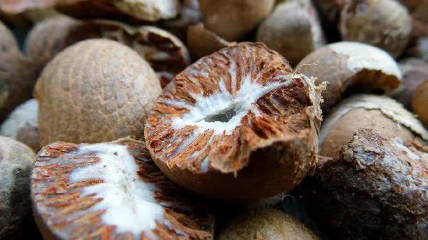 青果槟榔可以直接吃么插图