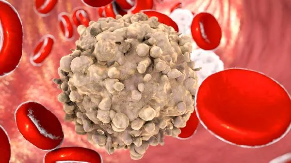 龙爪的功效和使用方法插图