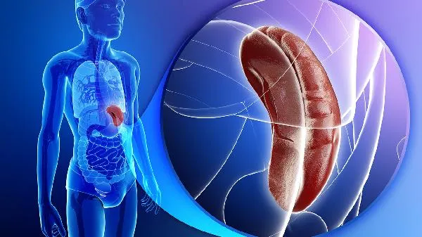 籼米是啥米啊 籼米为何尽量少吃插图