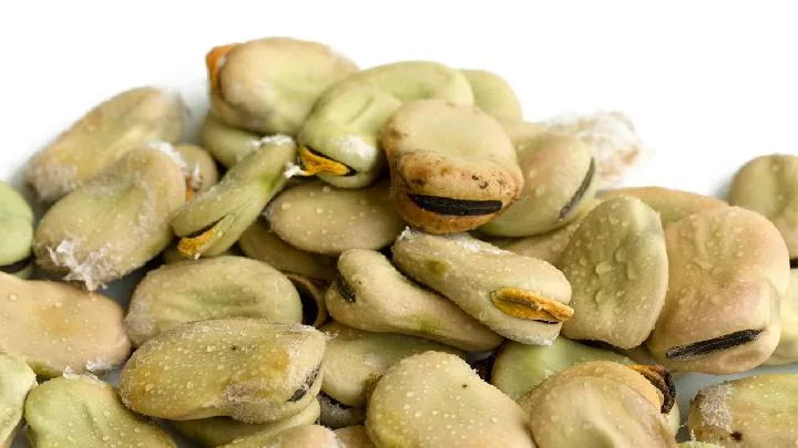 黑豆有哪些营养价值？ 这3种人最好不要吃黑豆插图1