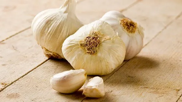 蒜苗是大蒜长出来的吗插图