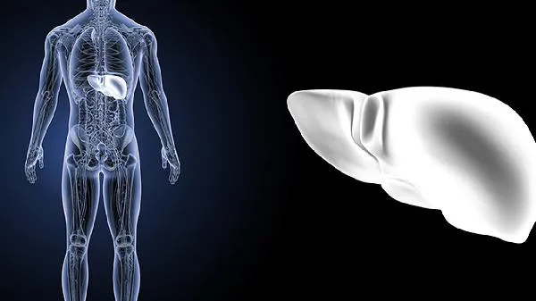 钙片吃了肝功能异常插图