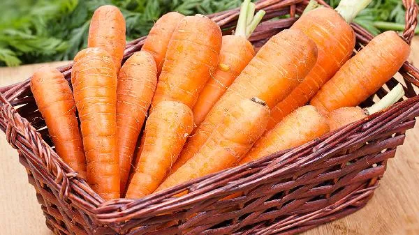 胡萝卜怎么吃丰胸插图1