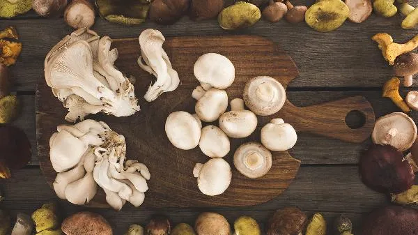 蘑菇可放冰箱里保存吗插图2