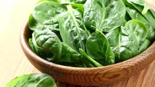 菠菜功效出色 注意吃菠菜的搭配禁忌插图