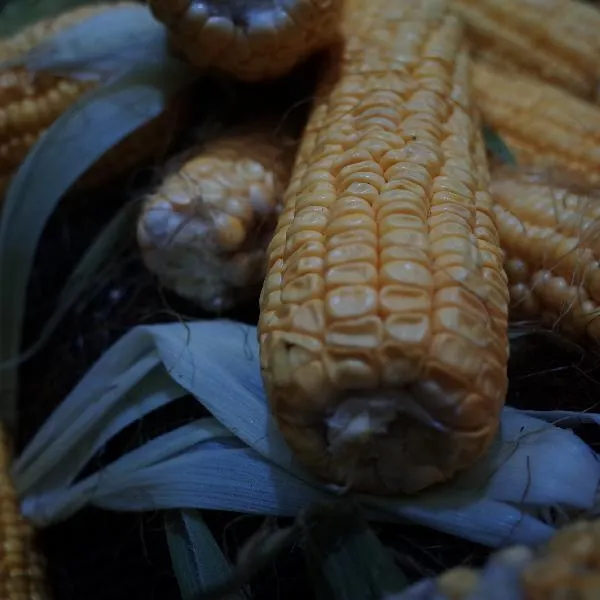 玉米怎么保存最好插图2