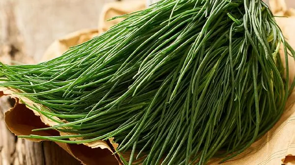 乌参是植物还是动物插图2