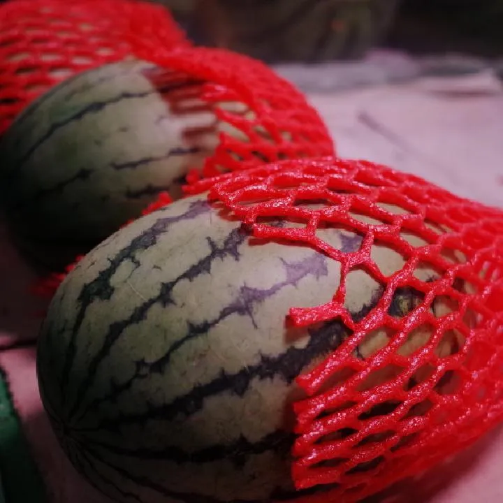 凉拌西瓜皮——美容护肤夏季首选插图