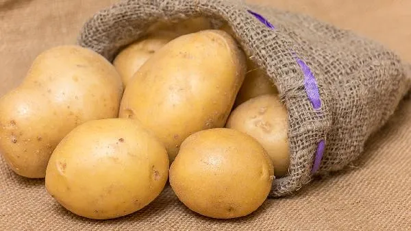 防土豆发芽最有效的方法插图