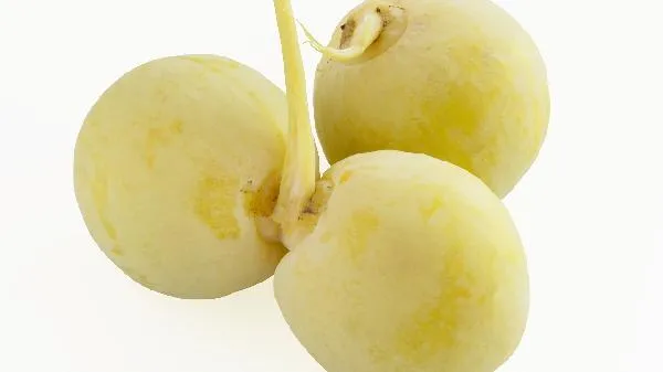 白果怎么吃才没有毒 白果是银杏的果实吗插图1