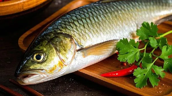 鲤鱼好吃还是草鱼好吃插图2