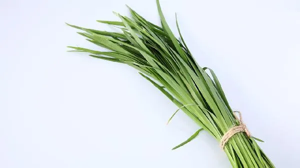 韭菜饺子冷冻后有毒吗插图1