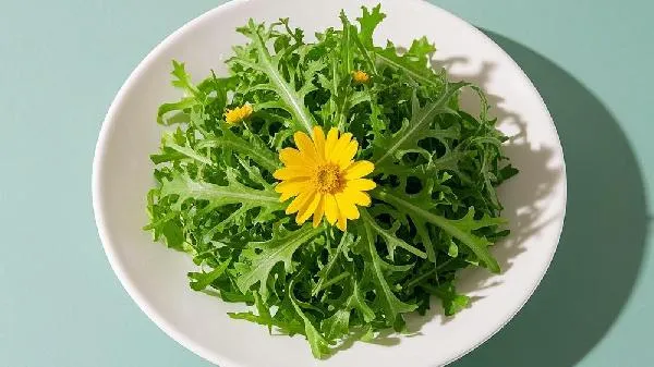 苦菊冻了还能吃吗插图1