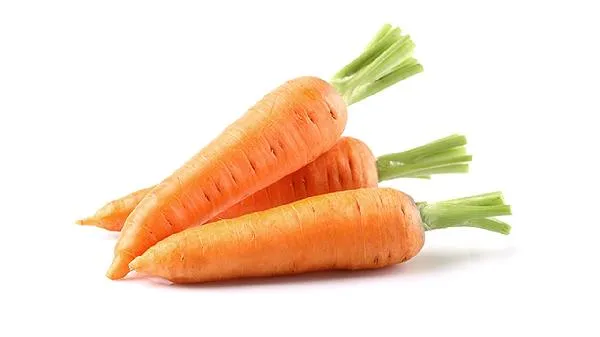 萝卜不可以和什么一起吃 胡萝卜和萝卜一起吃会怎样插图