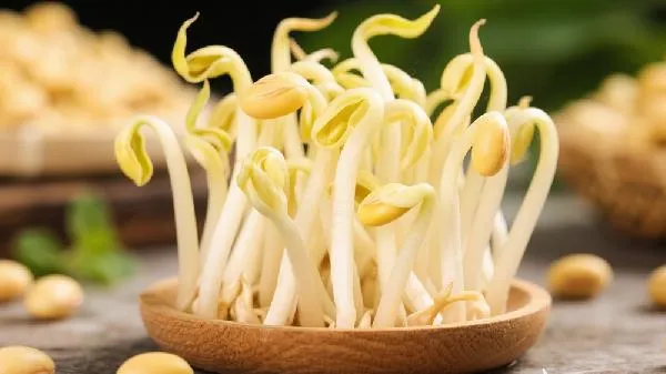 黄豆芽能冷冻保存吗插图