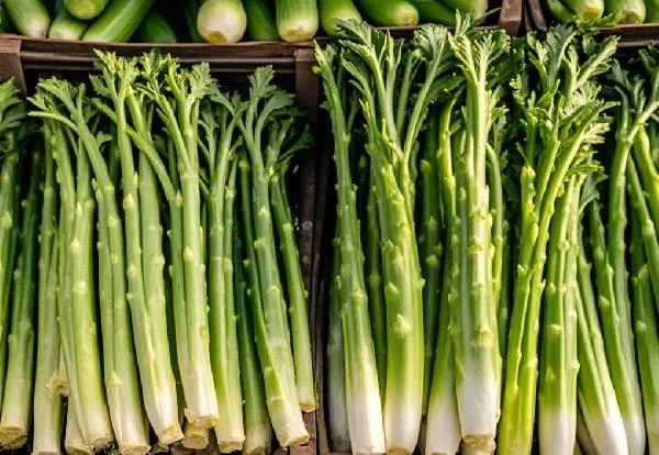 莴笋叶怎么吃营养价值插图