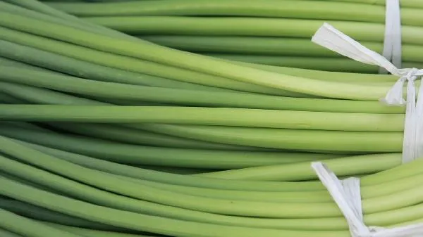 经常吃蒜苗对身体好吗插图1