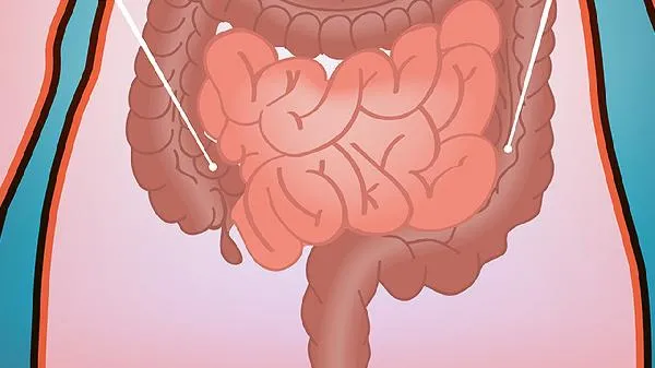 肥肠的三个最佳搭配插图1