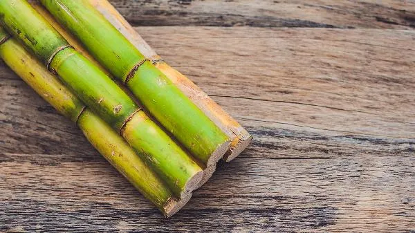 黑甘蔗上火还是去火的插图