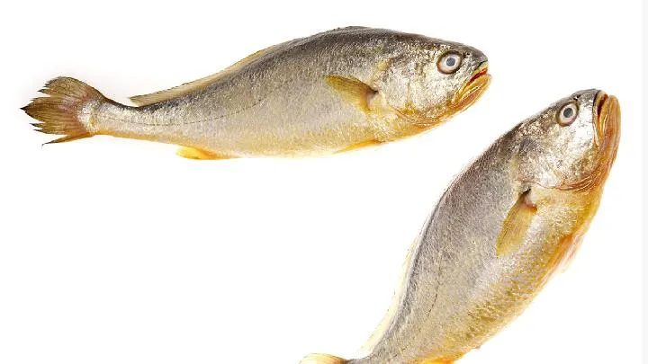 鱼腥草煮冰糖能止咳吗插图