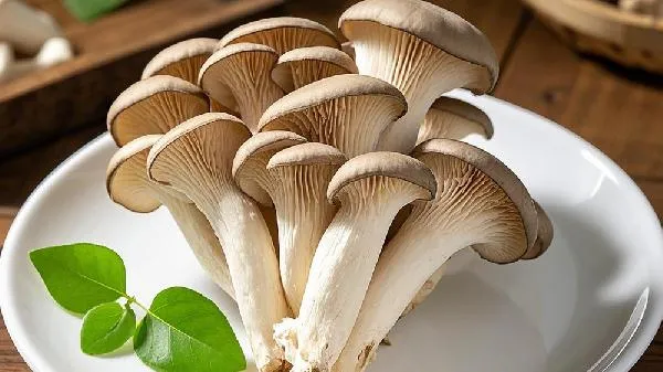 请问蘑菇怎么保存它才会新鲜插图2