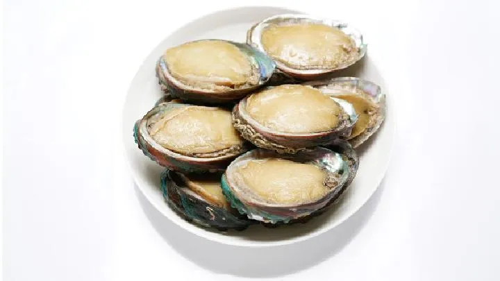 饿肚子也可以养生吗？饿肚子养生需要注意什么？插图