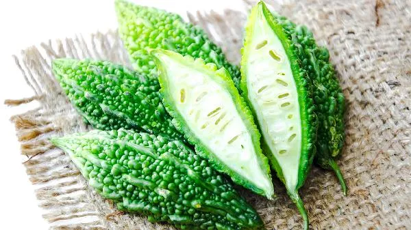 苦瓜有苦味的原因插图